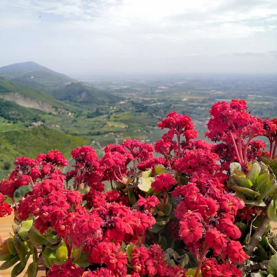 La Rupe Bed And Breakfast Norma Luaran gambar